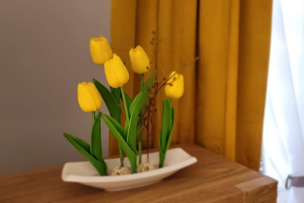 Cozy Modern Apartment Sunrise Studio 35M2 Balcony 3 Persons Krakow Ngoại thất bức ảnh